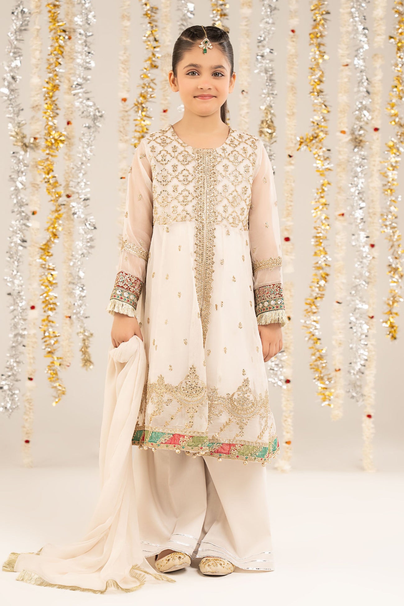 2 Piece Embroidered Organza Suit