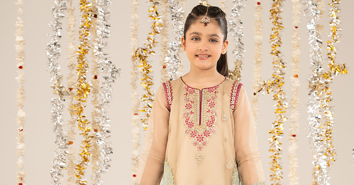 2 Piece Embroidered Organza Suit