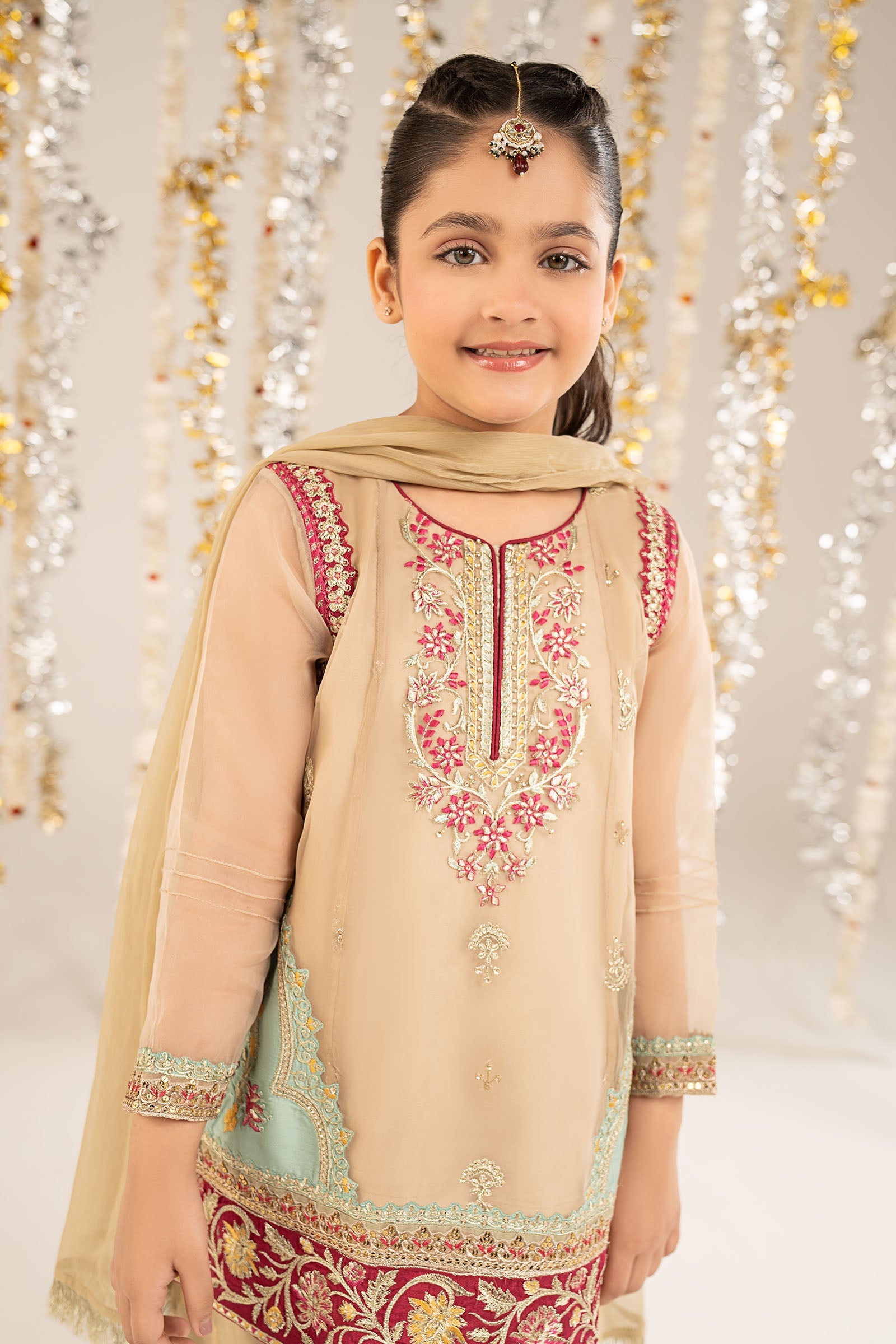 2 Piece Embroidered Organza Suit