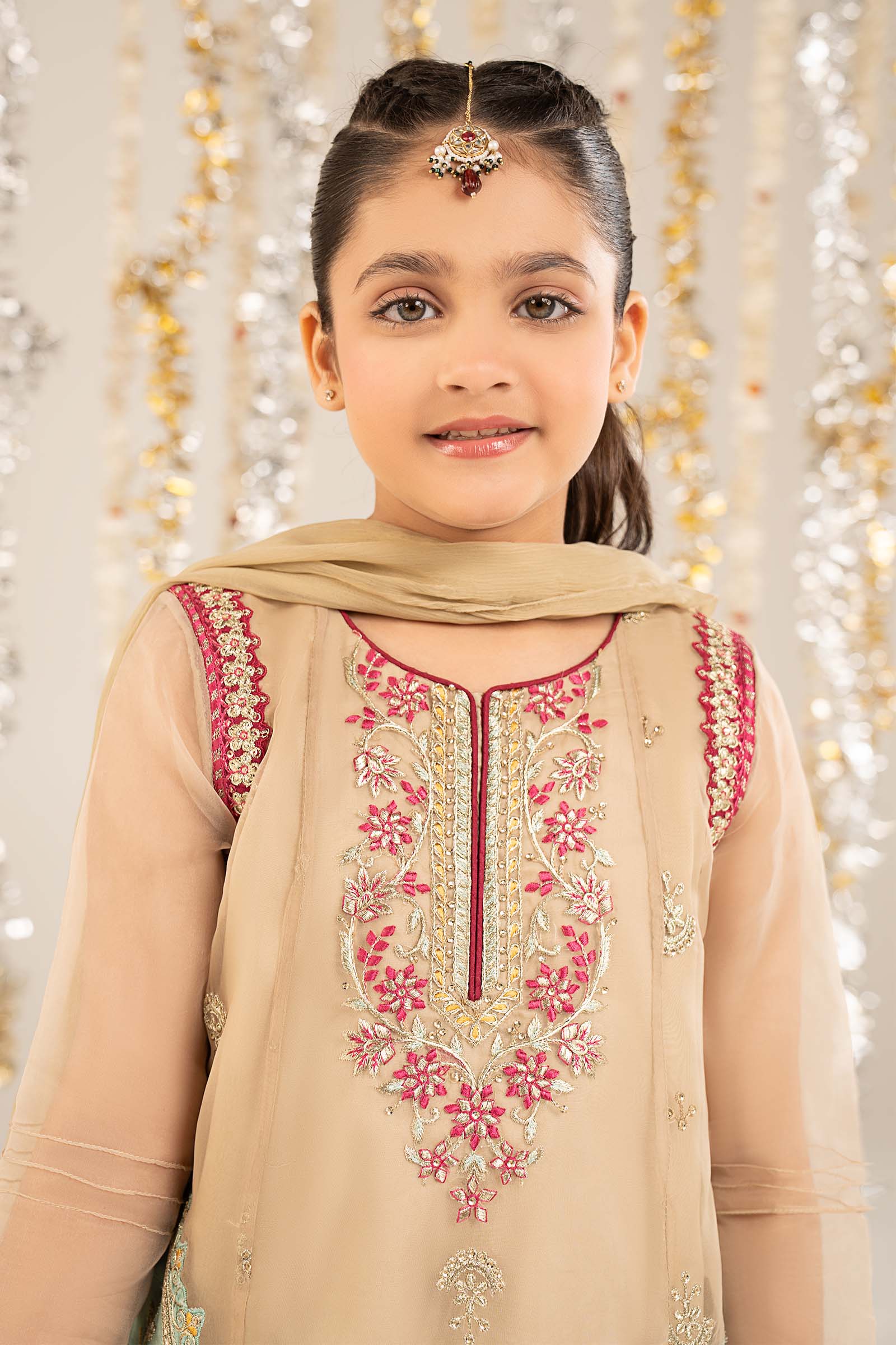 2 Piece Embroidered Organza Suit