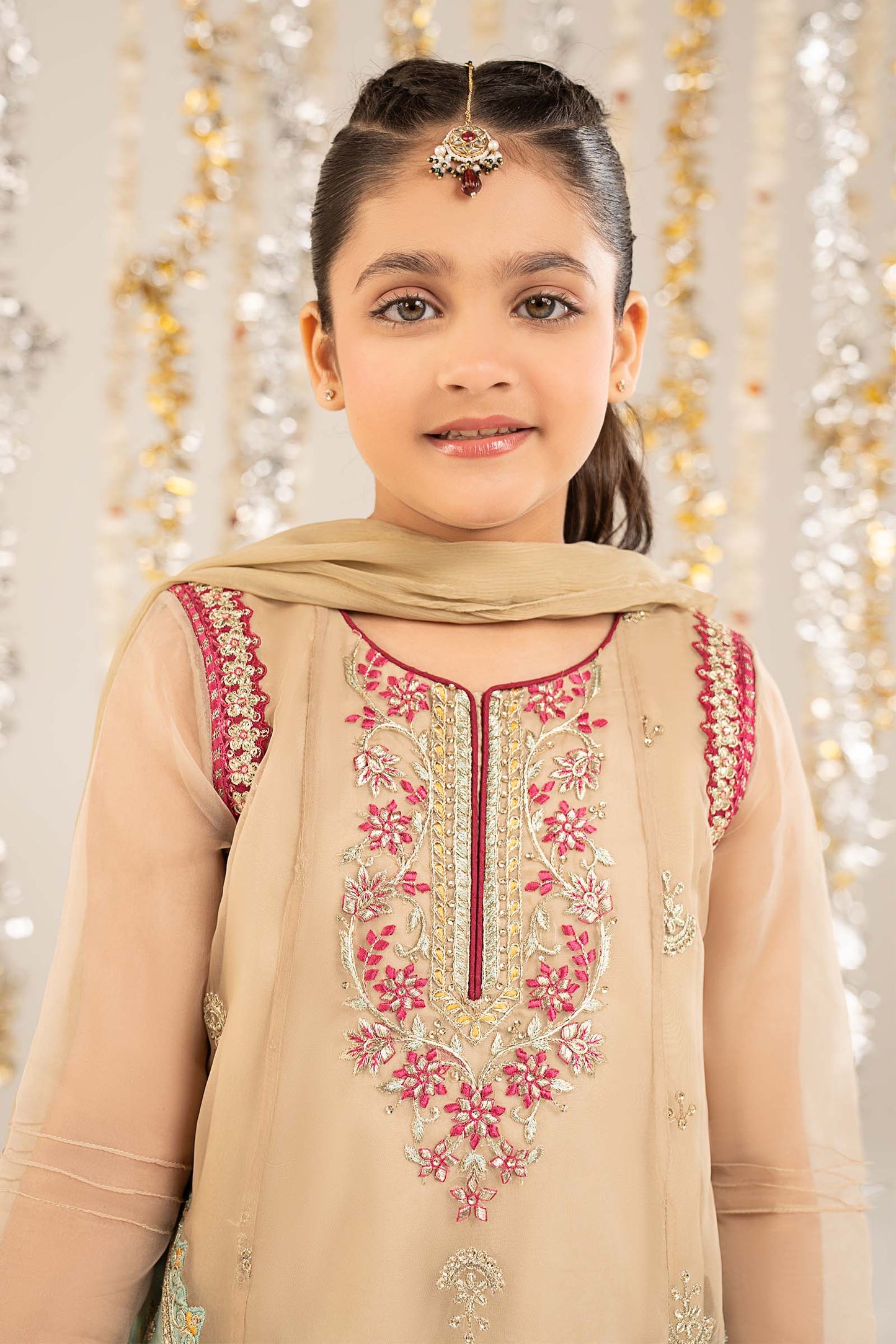 2 Piece Embroidered Organza Suit