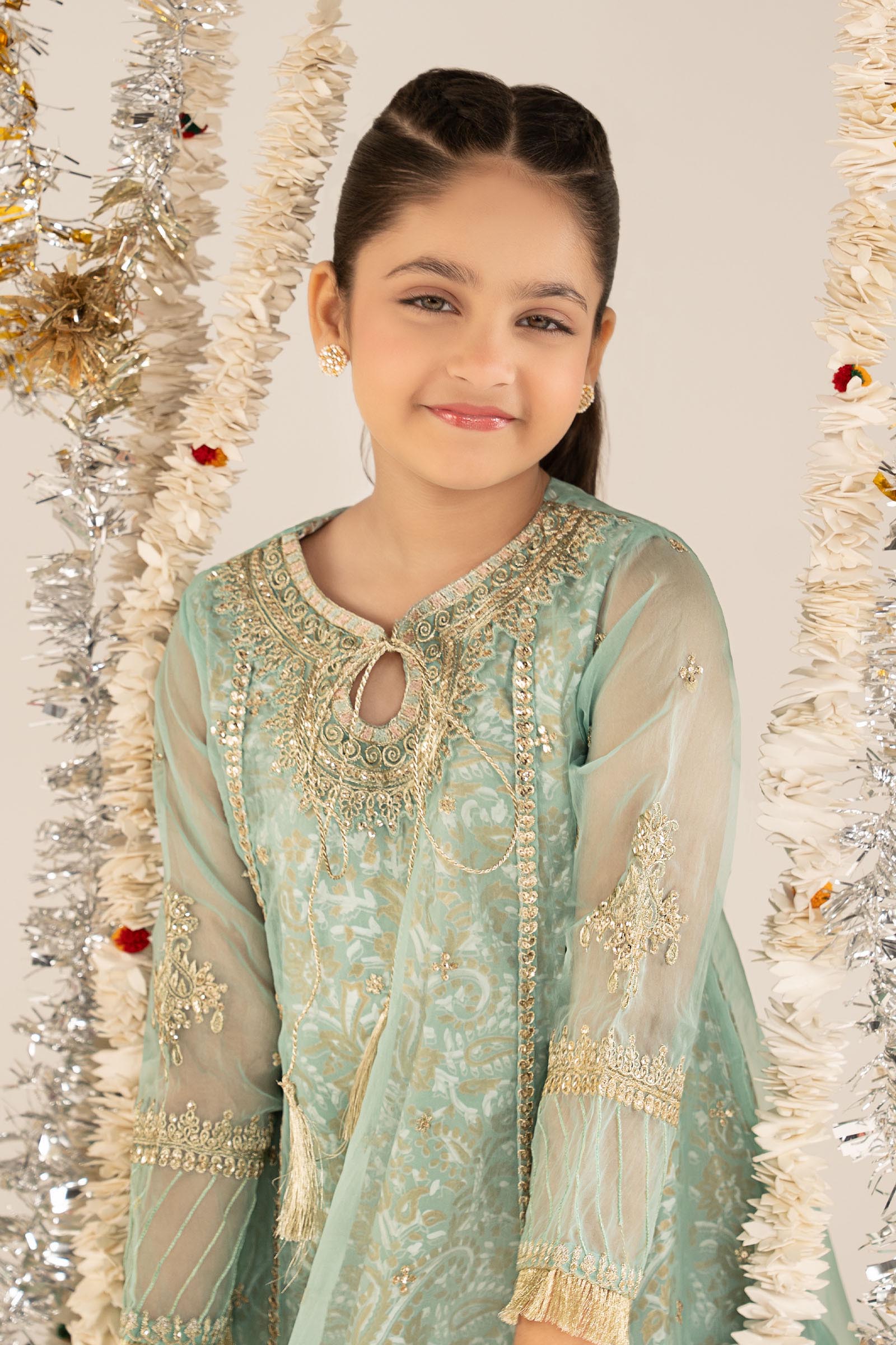 2 Piece Embroidered Organza Suit
