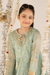 2 Piece Embroidered Organza Suit