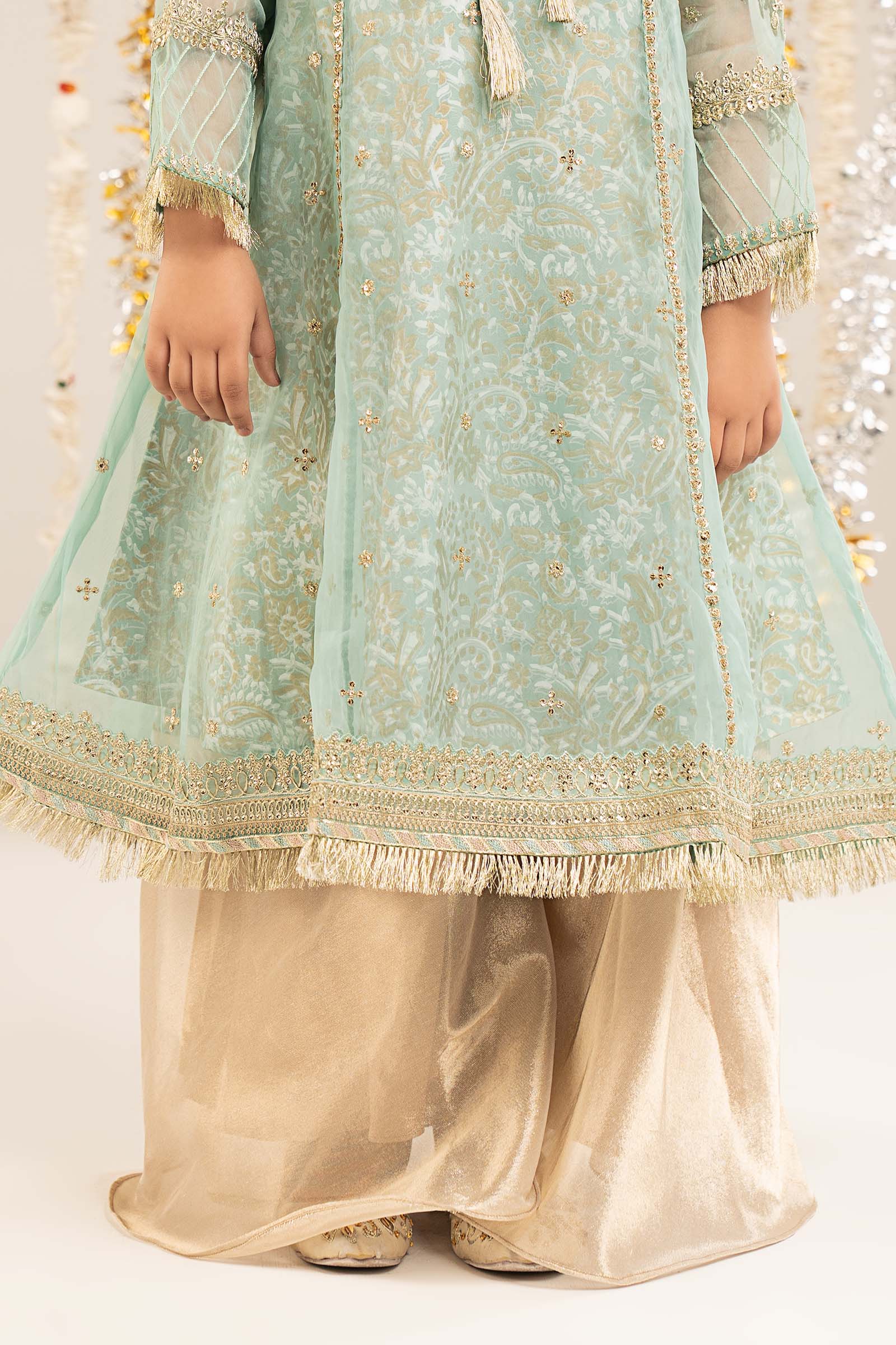 2 Piece Embroidered Organza Suit