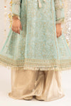 2 Piece Embroidered Organza Suit