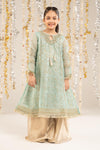 2 Piece Embroidered Organza Suit