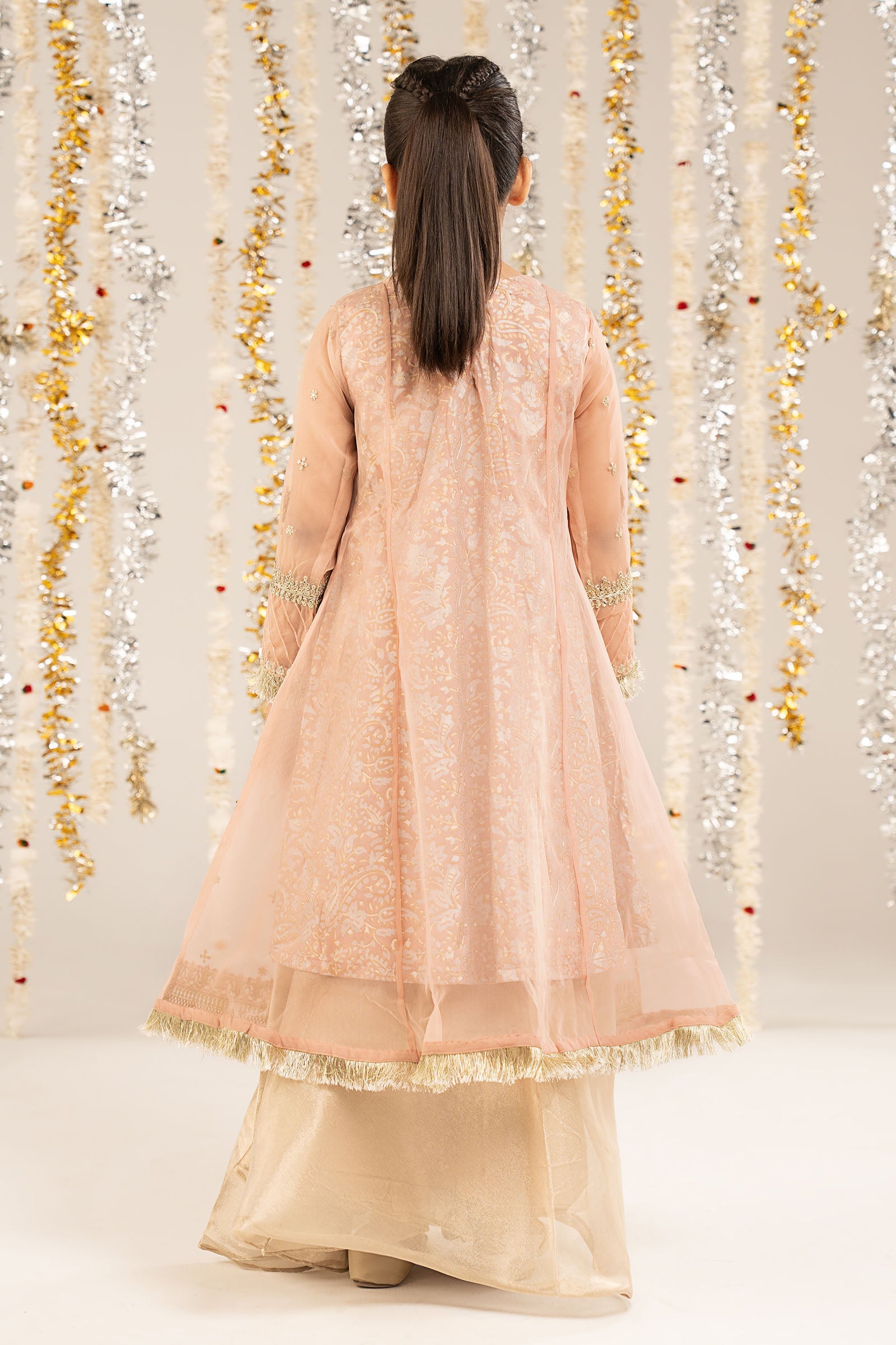 2 Piece Embroidered Organza Suit