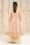 2 Piece Embroidered Organza Suit