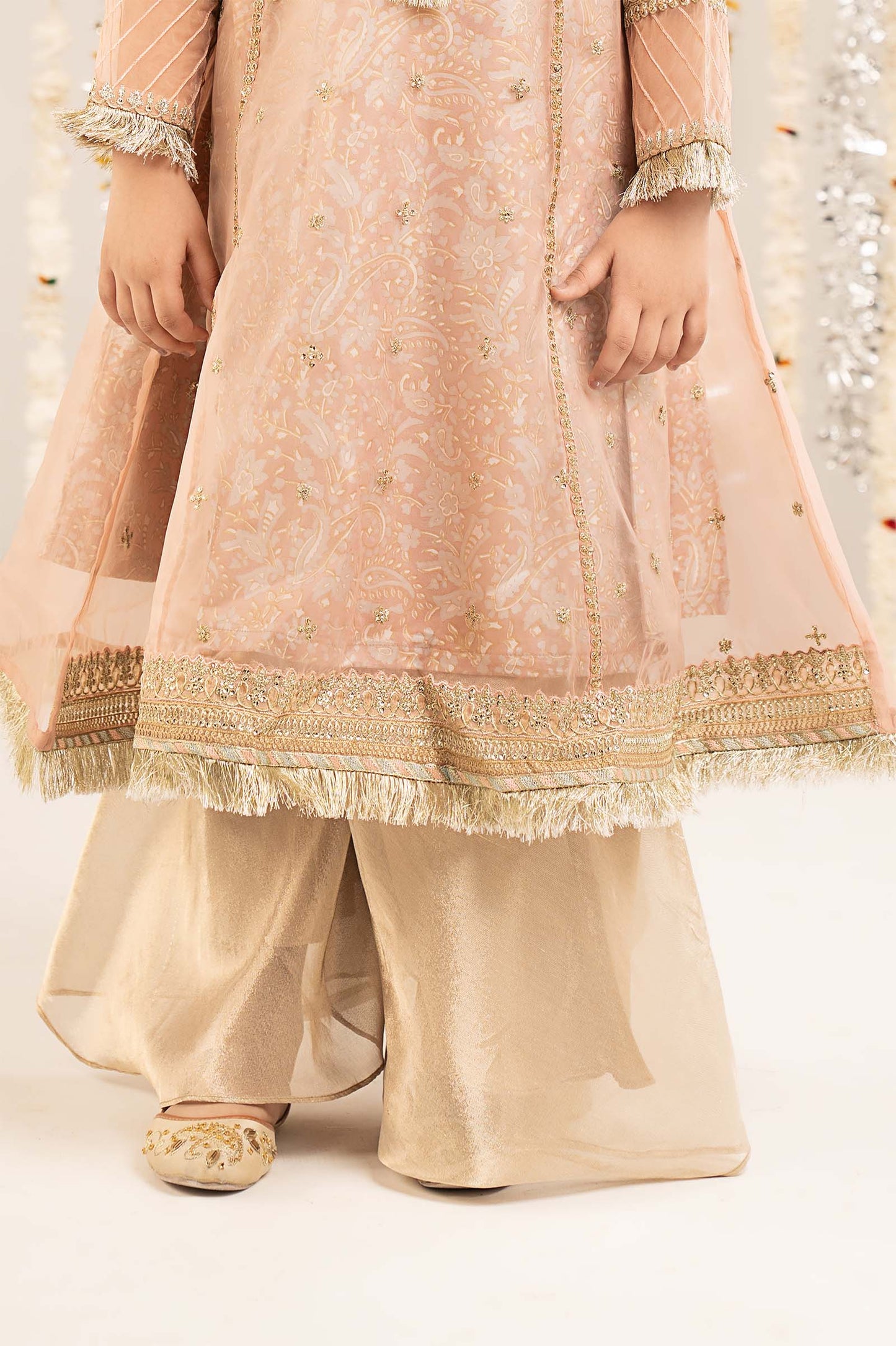 2 Piece Embroidered Organza Suit