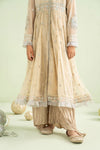 2 Piece Embroidered Net Suit