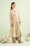 2 Piece Embroidered Net Suit