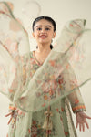 3 Piece Embroidered Organza Suit
