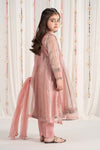 3 Piece Embroidered Zari Net Suit