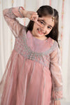 3 Piece Embroidered Zari Net Suit