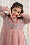 3 Piece Embroidered Zari Net Suit