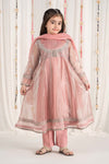 3 Piece Embroidered Zari Net Suit