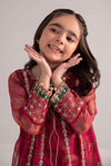 3 Piece Embroidered Poly Organza Suit