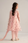3 Piece Printed Poly Organza Suit