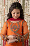 3 Piece Embroidered Organza Suit