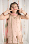 3 Piece Embroidered Cotton Satin Suit