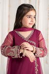 3 Piece Embroidered Polyester Net Suit