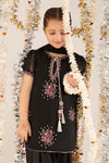 3 Piece Embroidered Organza Suit