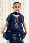 3 Piece Embroidered Organza Suit