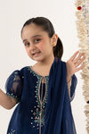 3 Piece Embroidered Organza Suit