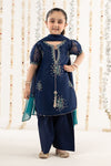 3 Piece Embroidered Organza Suit