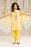 3 Piece Embroidered Organza Suit