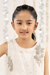 2 Piece Embroidered Cotton Net Suit