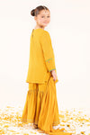 3 Piece Embroidered Cotton Net Suit