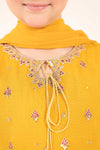 3 Piece Embroidered Cotton Net Suit