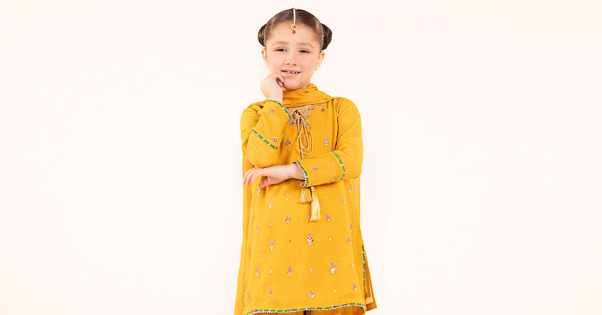 3 Piece Embroidered Cotton Net Suit