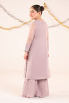 2 Piece Embroidered Organza Suit