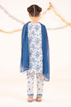 3 Piece Embroidered Raw Silk Suit