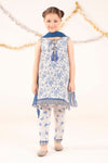 3 Piece Embroidered Raw Silk Suit