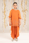 2 Piece Embellished Organza Suit