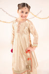 3 Piece Embroidered Tissue Suit