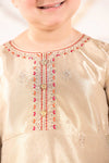 3 Piece Embroidered Tissue Suit