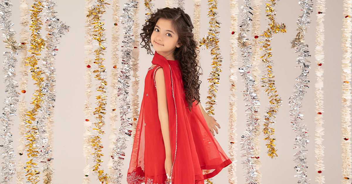 3 Piece Embellished Organza Suit