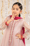 3 Piece Embroidered Zari Net Suit