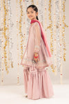 3 Piece Embroidered Zari Net Suit