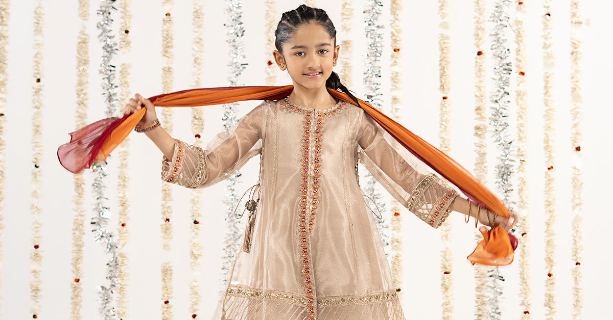 3 Piece Embroidered Zari Net Suit