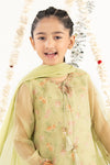 3 Piece Embroidered Organza Suit