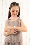 3 Piece Embroidered Organza Suit