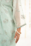 2 Piece Embroidered Organza Suit