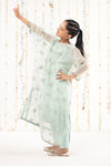 2 Piece Embroidered Organza Suit