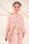 2 Piece Embroidered Organza Suit