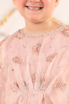 2 Piece Embroidered Organza Suit